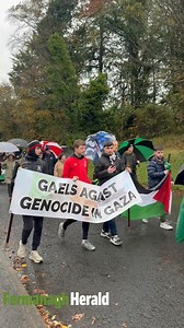 49K views · 710 reactions | Fermanagh Gaels Against Genocide Crowds walk the streets of Enniskillen in club colours to show solidarity with the people of Gaza. | Fermanagh Herald | Facebook