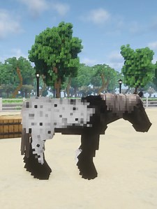 Breeding genetic horses 👀 - SWEM Genetics Addon . . 1.20.1 Minecraft Server Canterlands.com Asheerah x Mr Fear Resource Pack . . #minecrafthorses #minecraftequestrian #minecraftfarming #MinecraftAnimals #horseroleplay #MinecraftCommunity #MinecraftServer #MinecraftBuilds #MinecraftMods #MinecraftStable #swem #minecraft #starwormequestrian #genetics #starwormequestrianmod