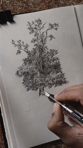 Taimur's Mechanical Sketchbook on Instagram: "Tree sketching, always relaxing, especially when with a fountain pen. Follow @l3ts_5k3tch and explore more in this pen and ink world. #art #sketch #urbansketchers #inking #draw [Taimur's Mechanical Sketchbook, urban sketching, ink drawing, tree sketch, fountain pen drawing]"