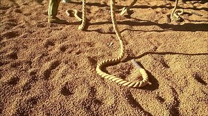 Ropes training builds strength and confidence