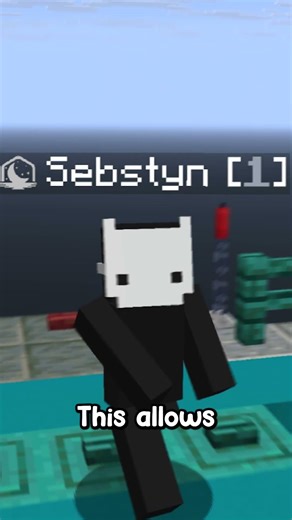 Levels #minecraft #minecraftserver