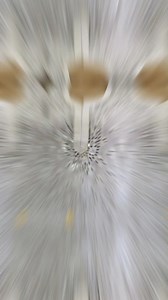 Fashion Mart Craft on Reels