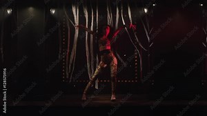 Beautiful Woman Doing Strip Dance on the stage, Young Pretty Female Dancing. Stock Video