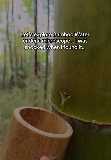 Let’s explore Bamboo Water under a microscope… I was shocked when i found it… #creatorsearchinsights #microscope #bamboo #water #science
