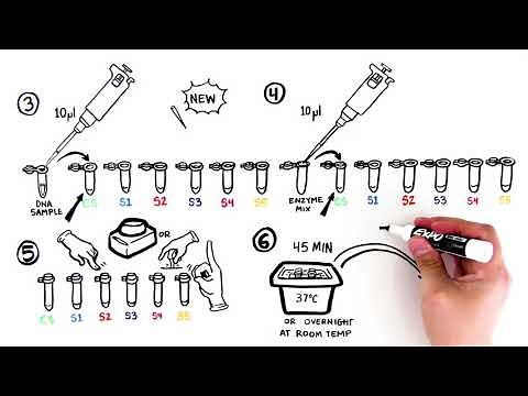 Forensic DNA Fingerprinting Kit Student Activity Video Quick Guide