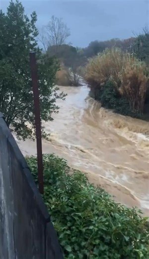 Après plusieurs mois de secheresse importante, de fortes pluies 🌧️entraînent des crues ce vendredi matin dans les Pyrénées-Orientales (66). La Canterrane sur la commune de Trouillas (66) est en crue 🌊 Merci Domaine Treloar Vineyard and Winery pour le partage et pensées pour les sinistrés dans le secteur | Infoclimat