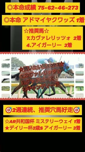 R7年 11月15日 デイリー杯2歳S #一発逆転 #地方競馬 #中央競馬 #競馬予想 #高知 #デイリー杯2歳S