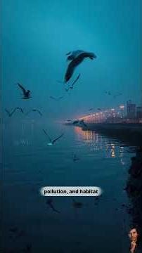 50% of Life is Dying... Can We Stop It? 🛑🌍 #Extinction #ScienceFacts
