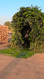 37K views · 880 reactions | Diffrent Type Of Hut Survive In Night Challenge | Experiment King | Facebook