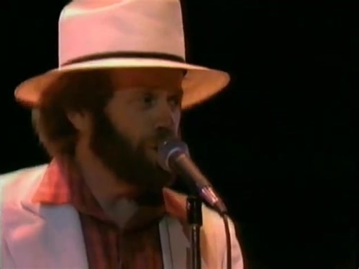 Fun, Fun, Fun is one of The Beach Boys' classic Surf Rock anthems, originally released in 1964. The track perfectly encapsulates the "California myth"—the idyllic life of carefree fun, surfing, and fast cars. The version you mentioned was recorded live at the Knebworth, Hertfordshire, England concert on June 21, 1980. This recording was later released on the live album and concert film “Good Timin': Live at Knebworth, England 1980” (released in 2002). This particular concert is noteworthy as it 