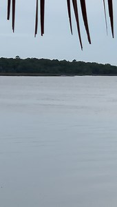 1.2K views · 139 reactions | Getting ready at Tony Solo Acoustic at Palms Fish Camp | Big Engine | Facebook