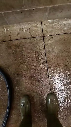 5'5 vs. 17'5 | Zookeeper Takes on Giant Giraffe in Safari Adventure