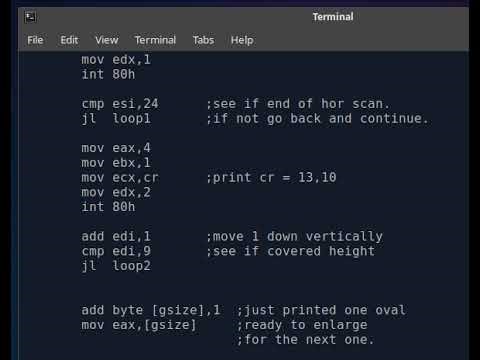 NASM Assembly Program to Draw and Stretch an Oval.