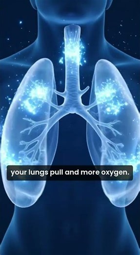 Your organs during a run (caught on X-ray) #Science #Body