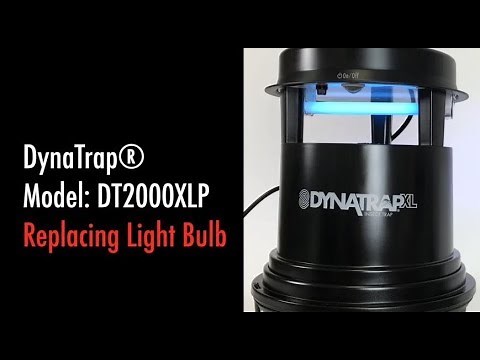 DT2000XLP Replacing the Light Bulb