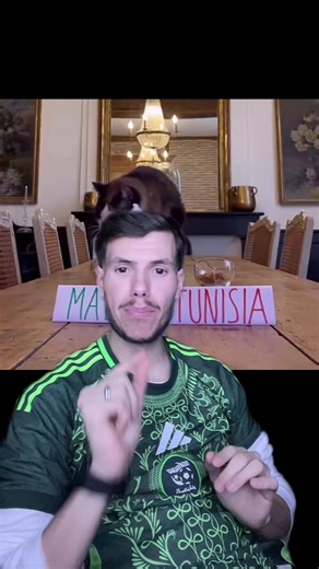 😂😂 | nimbus the cat