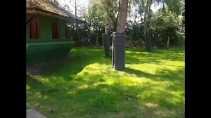 1.2K views · 39 reactions | Goats In England | Goat Land Farms | Facebook