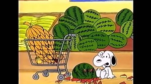 Peanuts By Schulz on Instagram: "Snoopy loves shopping! 🛒 🍉🍌 • • • • #peanutsbyschulz #peanutsclips #friendship #poem #recital #beagle #snoopygrams #valentines #puppy #snoopy #snoopylover #schulz #peanuts #peanutslover #thanksgiving #charliebrown #family #doctor #fight #comedy #christmastree #psychiatrist #love #turkey #snack #birds #travel #dressup #marcie #magic"