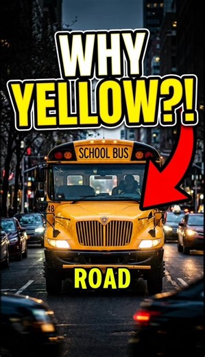 Why School Buses Are Always Yellow ? 🚌 #shorts