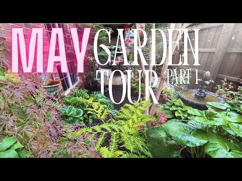 🌿North Texas Cottage Garden in Full Bloom Part 1 🌿 Gardening in Texas in May 🌿Zone 8b🌿