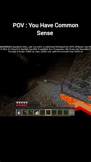 Minecraft Common Sense meme #minecraft