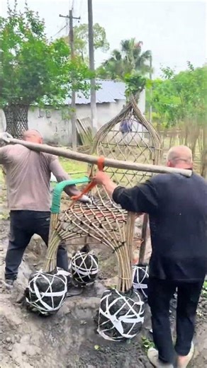 Creative Tree Transplanting Method 🌳