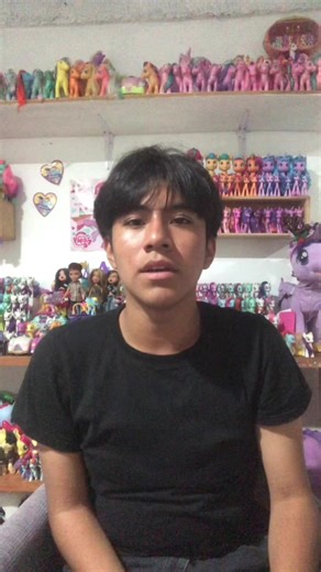 5 ponis que más me gustan de mi colección || FELIZ AÑO 🥳