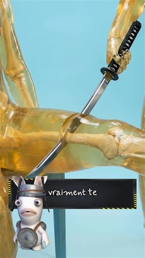 Analyse Technique des Méthodes de Sectionnement