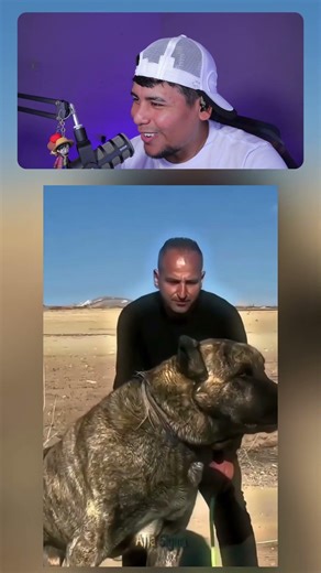 incredibly giant pets