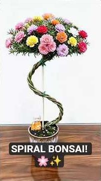 Amazing Spiral Moss Rose Bonsai 🌸 | DIY Double Portulaca Tree #shorts