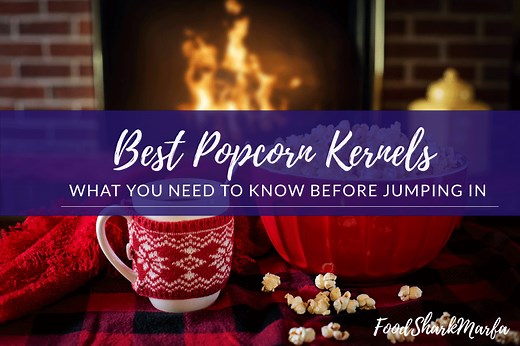 The 11 Best Popcorn Kernels Reviews in 2023 - Food Shark Marfa