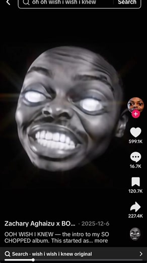 Exploring the SCP Universe: What I Wish I Knew