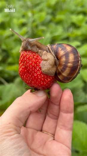 7.7K views · 50 reactions | The best place to relax ❤️ | Daily Mail Video | Facebook