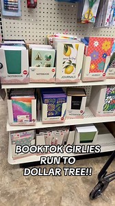 BOOK GIRLS… YOU NEED THIS NEW DOLLAR TREE FIND!! 🌳😍📚 #bookstagram #dollartree | Dollar Tree Dollie