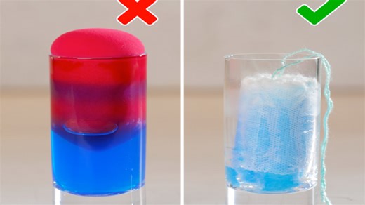 We know how to tell the difference between fresh and rotten food! Ready to find out?