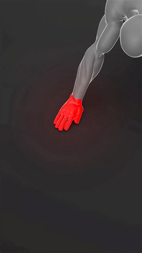 Push-ups train way more than just your chest. Here’s what you’re really getting: ✔️ Chest activation ✔️ Triceps & shoulder strength ✔️ Core stability ✔️ Better posture ✔️ Functional strength (you’re moving your whole body) ✔️ No equipment needed Master push-ups — master your bodyweight. This is smart training. This is www.GymDone.app 🔥 #gymdone #gymdoneapp #pushups #bodyweighttraining #chestworkout #fitnesstips #gymform #corestrength #muscleactivation #workouteducation #smarttraining #usafitnes