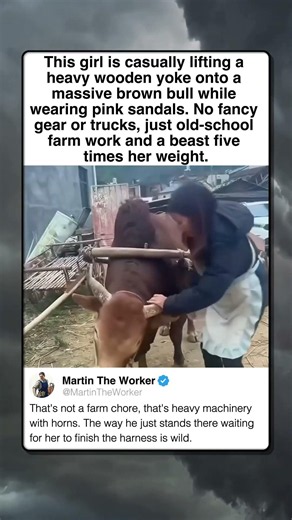 HANDS ON HEAVY MACHINERY WITH HORNS