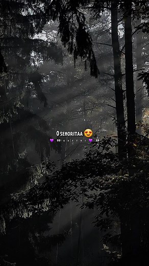 Surya Song Lyrics | Minmini Pol Minungukiren | Surya Songs Status