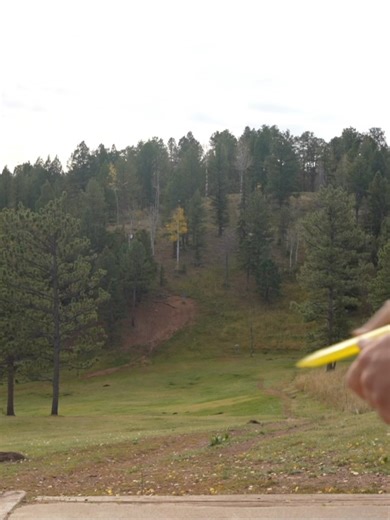 5.9K views · 210 reactions | Trash Panda Disc Golf on Reels | Facebook