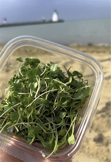 infinitygreen on TikTok