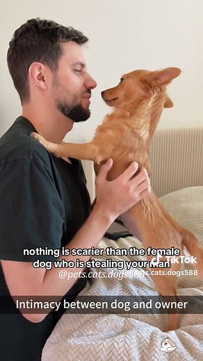 Dogs are best gift God has given to humans ❤️❤️❤️ #dog#doglove#baby #cute #love#dogsoftiktok #dogsbabylove#dogsvideo#bestfriend#funnybaby#puppylove#pet #foryou #animals #typ#heartwarming #pets#tiktok#usa