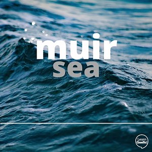 Facal an Latha | Word of the Day muir – sea The word ‘muir’ can be confusing as it changes to ‘a’mhuir’ for ‘the sea’ and ‘mara’ when it goes into the genitive. For example: ri taobh na mara – beside the sea https://bit.ly/33dKgBq #YCW2020 | LearnGaelic