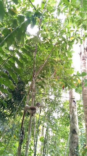 5.8K views · 231 reactions | 2nd set up, same spot. #fypシ゚viralシ #reelsfb #reelsfacebook #reelsviral #fypシ #reelschallenge #fypviralシ #fypreels | Ka-Hunter | Facebook