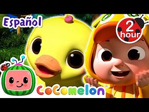 🐤 Diez patitos 🐤 | CoComelon y los animales 🍉| Dibujos animados para niños