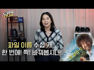 파일 이름 수십 개! 이제 한 번에 쫙! 바꿔봅시다! [도와줘 다나와]