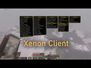 ⭐Xenon Client 1.21 Best FREE Client for DONUTSMP