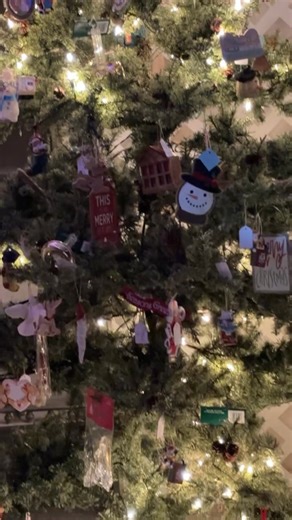 Junk and Disorderly Flea Market Ash Grove, Mo on Reels