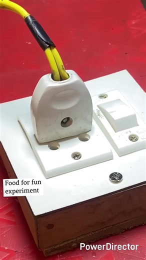 12v bulb 240Ac v current | Food For Fun