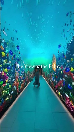 【ドバイ】世界最大の人工島『パームジュメイラ』の絶景を眺める展望台 #ドバイ #dubai #palmjumeira #theviewatthepalm