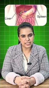 "Whole Abdomen Ultrasound Explained in 30 Seconds! | Quick Insights for Your Health" #ultrasound